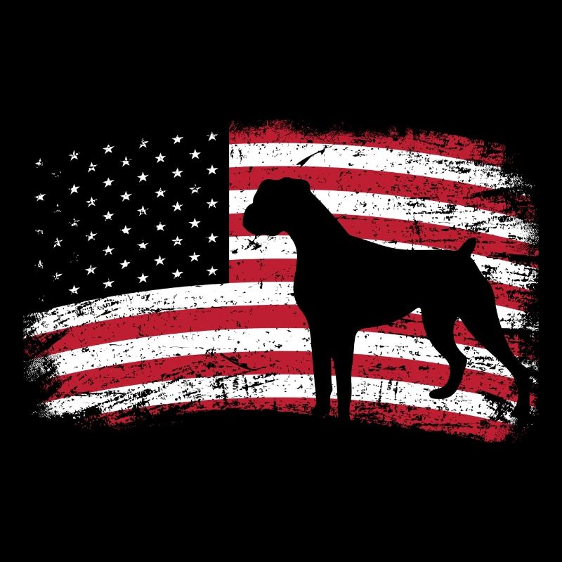 Boxer États-Unis