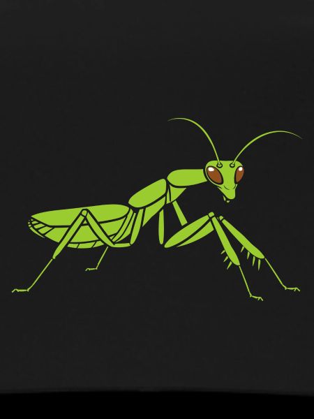 Praying mantis