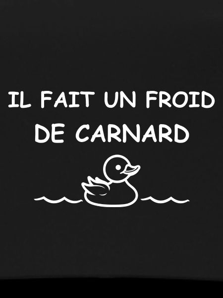 Froid de canard
