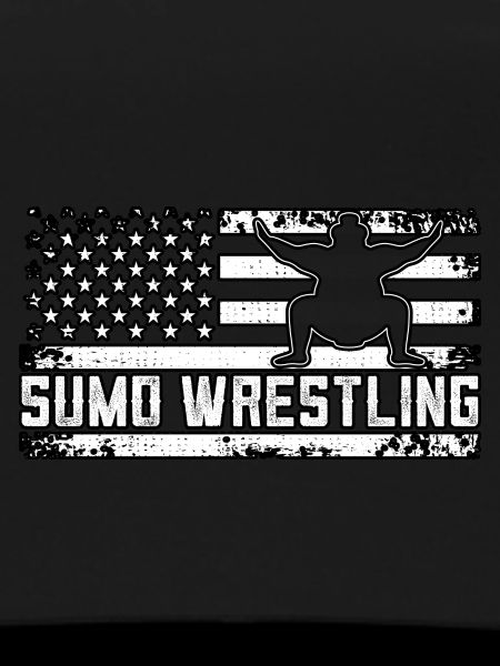 Sumo-Ringen