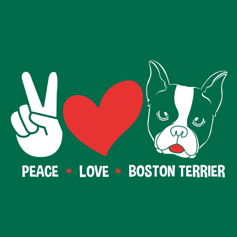 Boston Terrier
