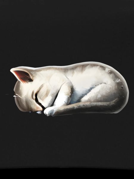 Sleeping cat