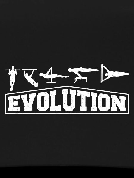 Calisthenics