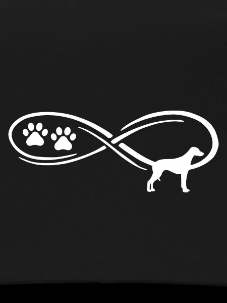 Rhodesian Ridgeback Infinte
