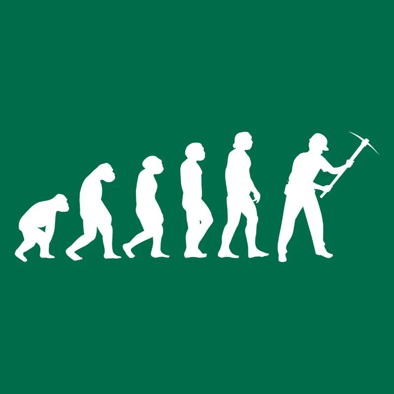 Evolution Bergmann