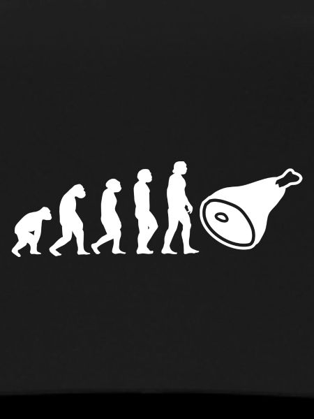 Evolution Fleischer