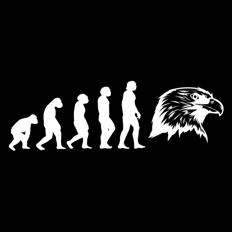 Evolution Falkner