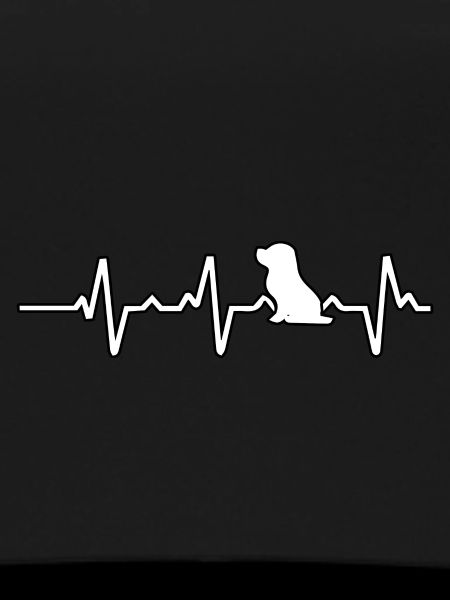 Beagle heartbeat