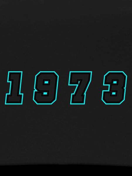 1973 Year Number