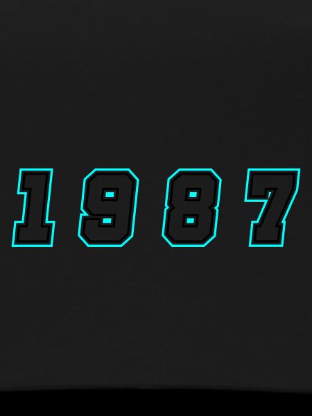 1987 Year Number