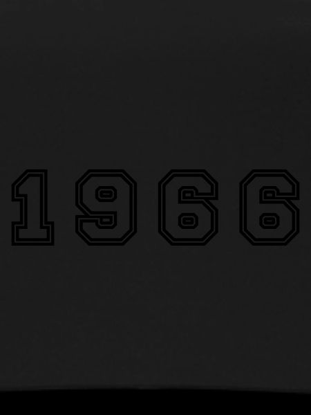 1966 Year Number