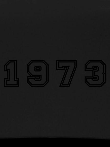 1973 Year Number