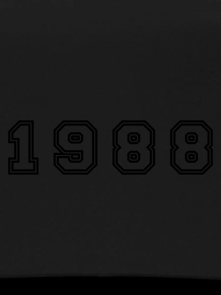 1988 Year Number