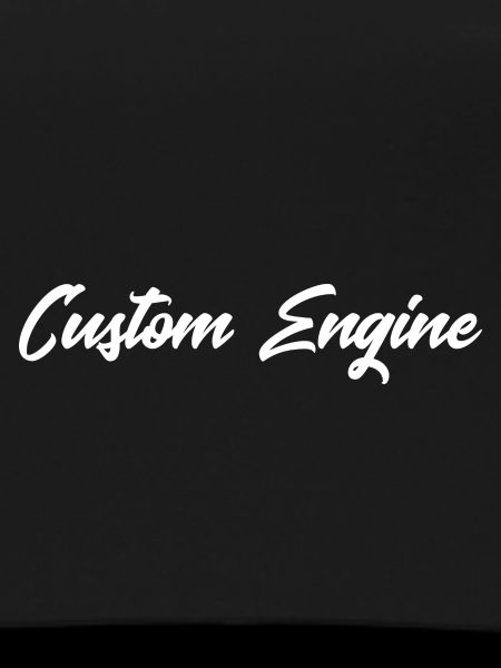 Custom Engine