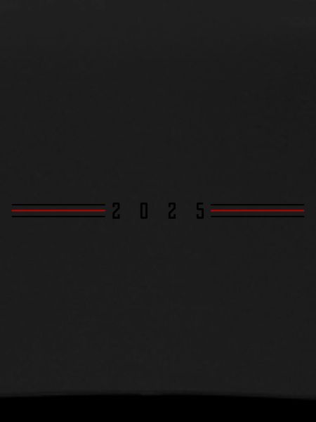 2025 year