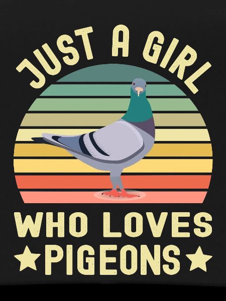 Pigeon Pigeons