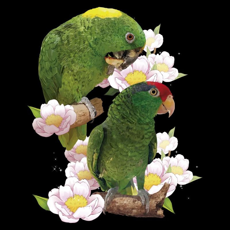 Perroquets