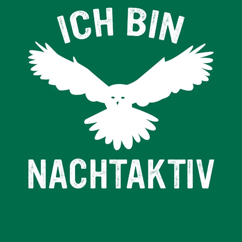 Nachteule Eule Eulen Vogel
