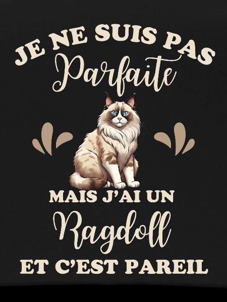 Chat doux Ragdoll