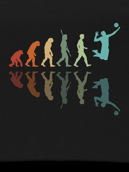 Volleyball Evolution