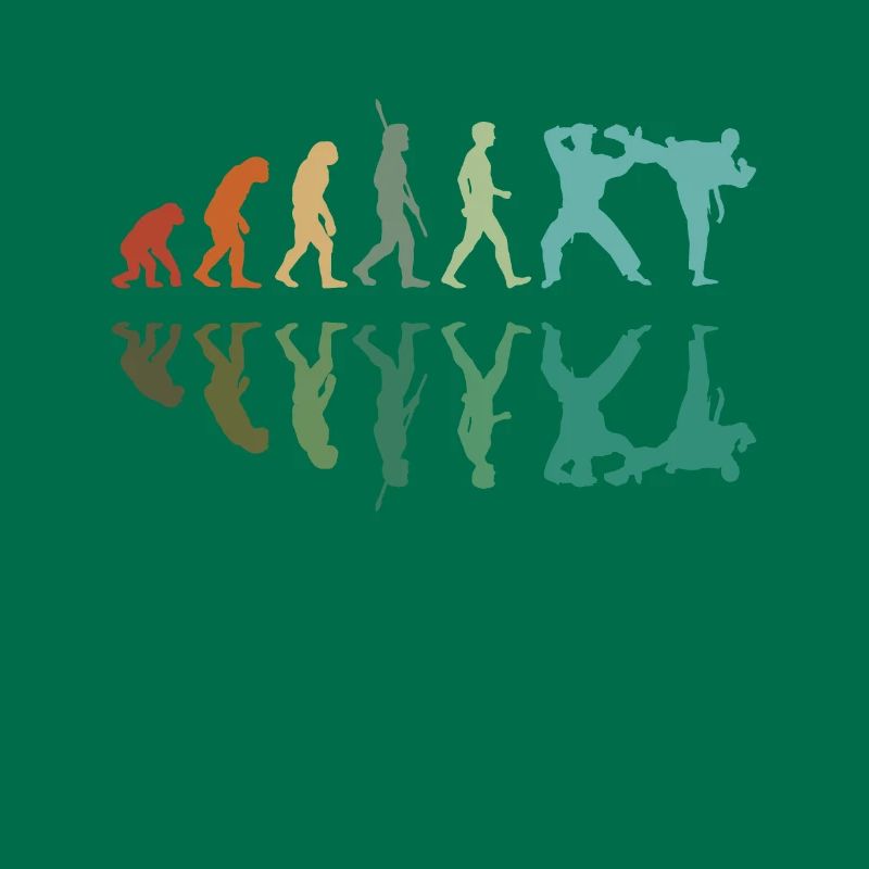 Évolution Karaté