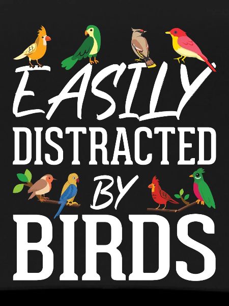 Easily Distracted by Birds