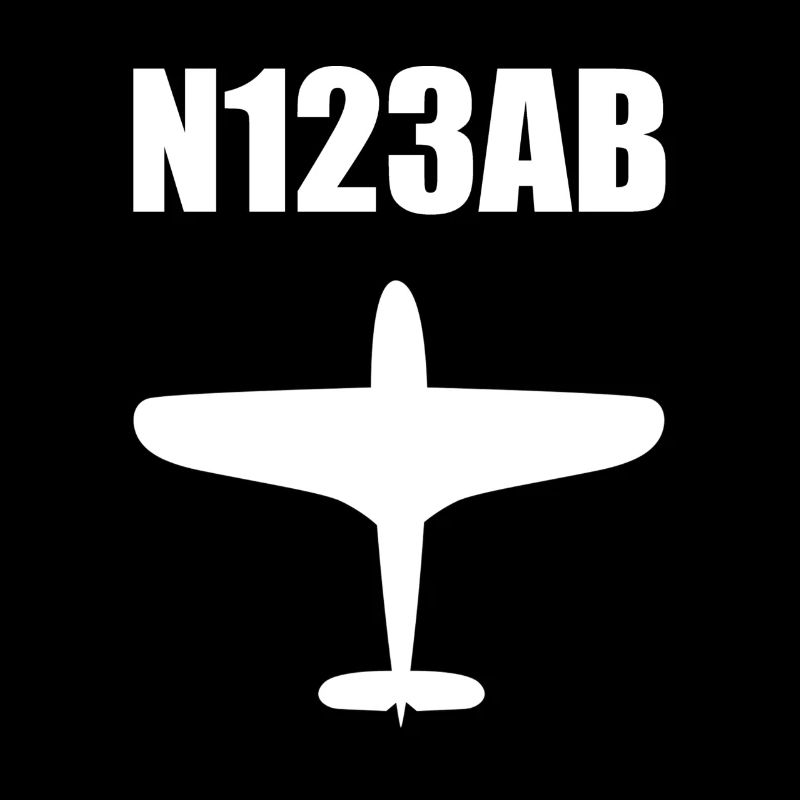Custom Aviation - Airplane - Flying - Pilot