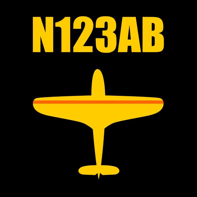 Custom Aviation - Airplane - Flying - Pilot