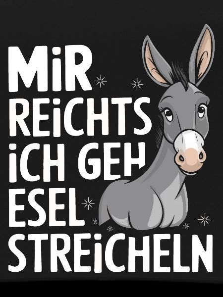 Donkey Donkey Mule Muli