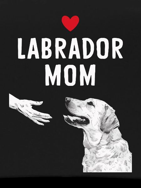 Chien Labrador