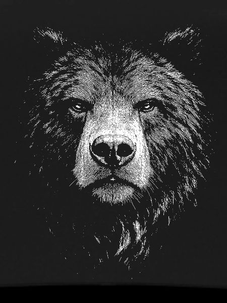 Bär