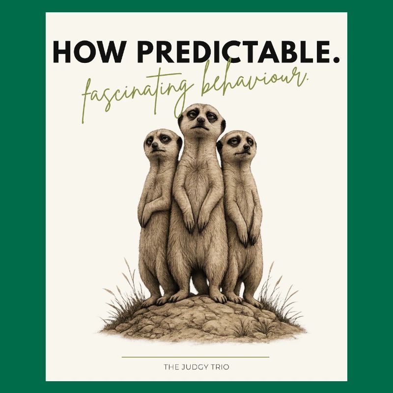 How Predictable Funny Meerkat