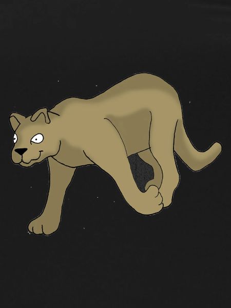 Faune