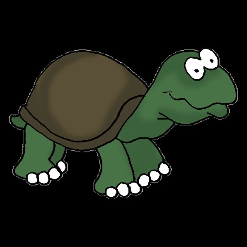 Tortue 1