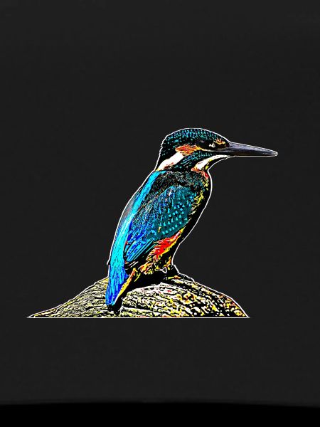 Kingfisher