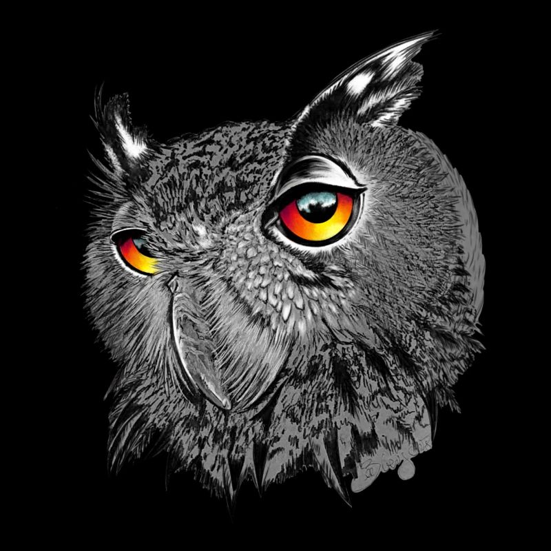 Uhu/Bubo Bubo/Owl