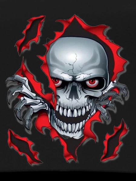 Skull