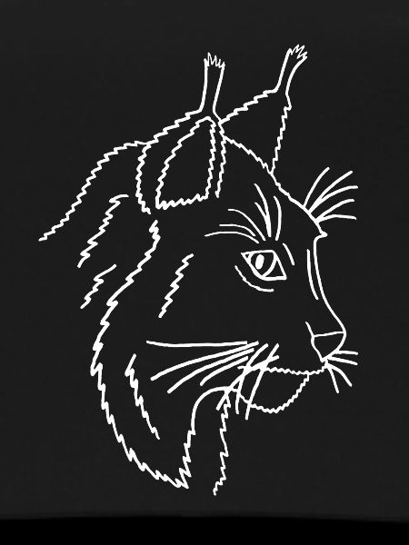 Lynx