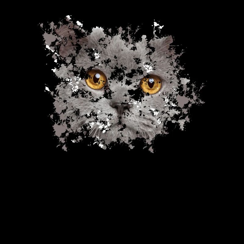 Visage BKH