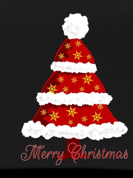 Christmas fir tree
