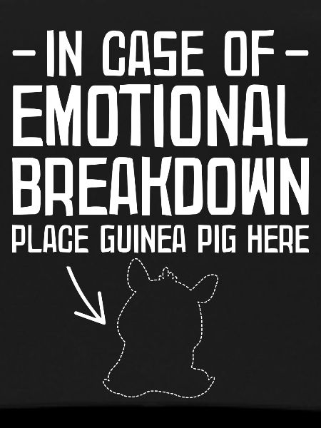 Guinea pig