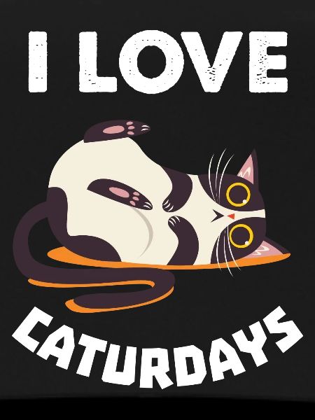 Cat Lazy Caturdays