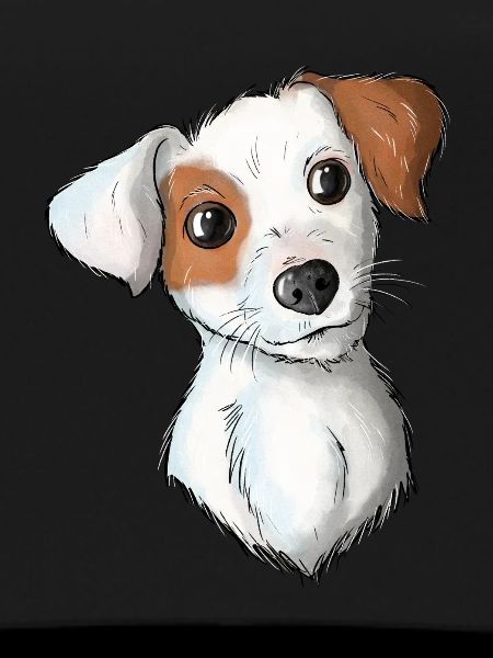 Jack Russell Pattern 7