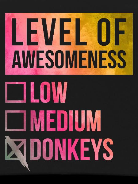 Donkey Donkey Donkey