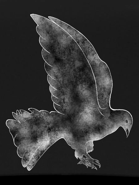 Dove
