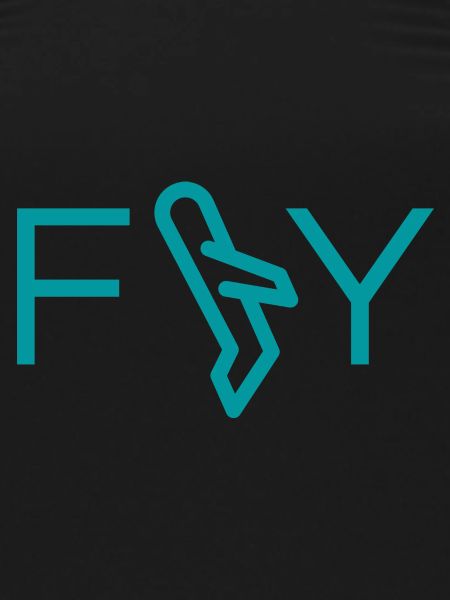 Fly