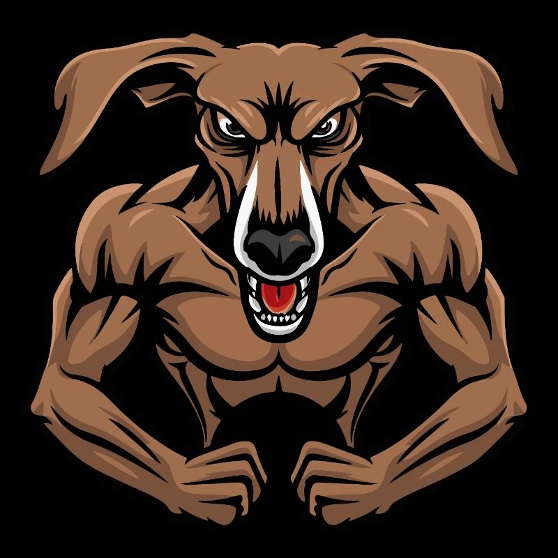 Greyhound Chien Muscles Musculation