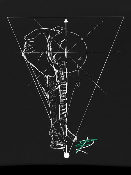 Elephant fine line