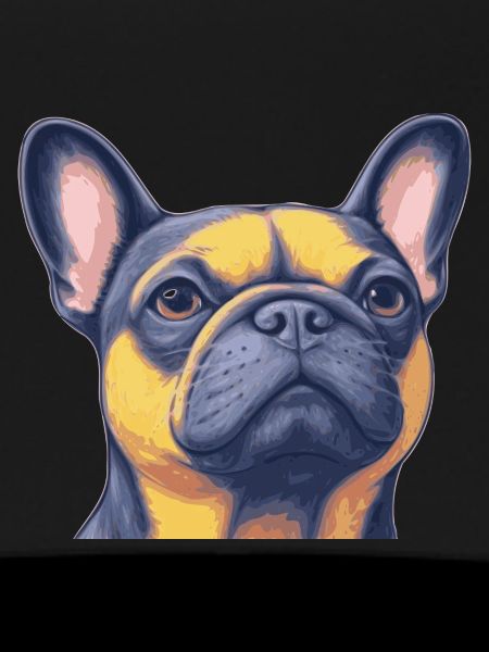 Bouledogue français - Frenchie