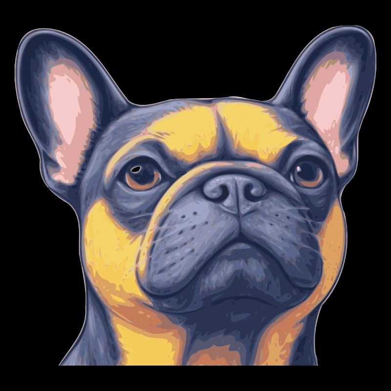 Bouledogue français - Frenchie